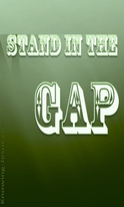 Stand In The Gap (devotional) - (sage)